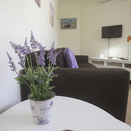 Apartment Apartamento Con Ascensor En Primera Linea